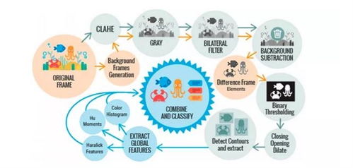 海洋生物檢測新方法 基于視覺數(shù)據(jù)自動識別與分析技術